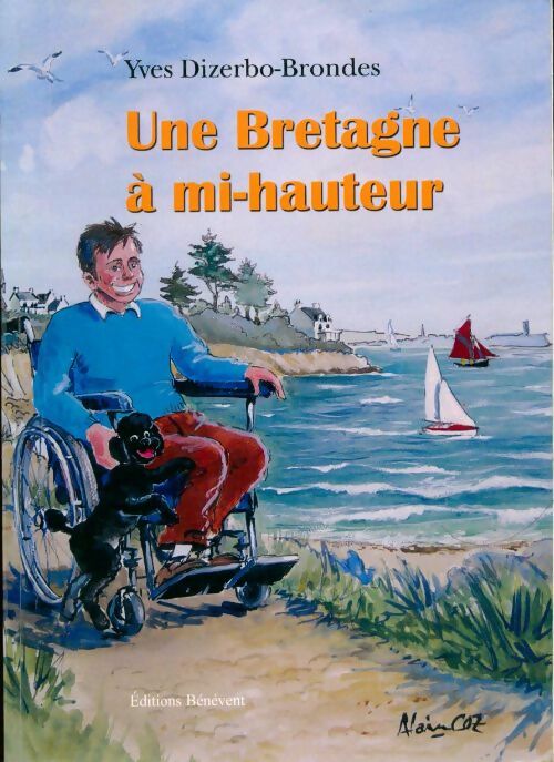 Une Bretagne à mi-hauteur - Yves Dizerbo-Brondes - Livre