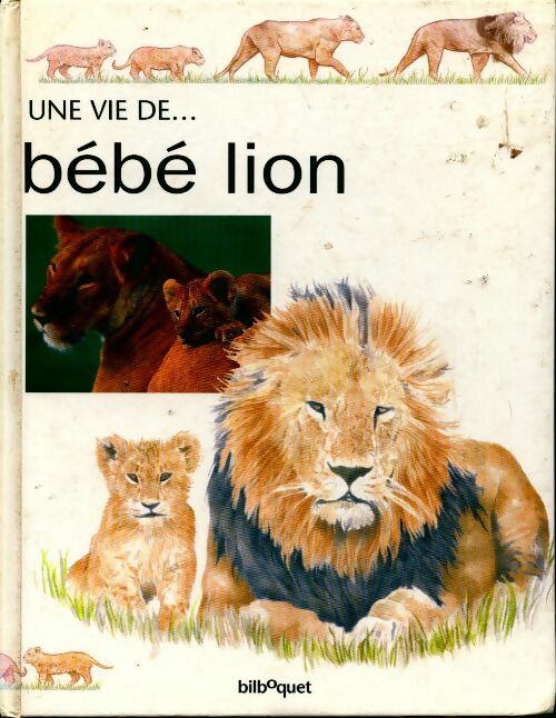 Bébé lion - Honor Head - Livre