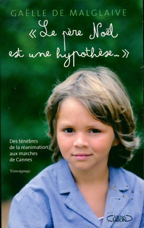 Le père noël est une hypothèse - Gaëlle De Malglaive - Livre