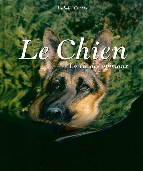 Le chien - Isabelle Collin - Livre