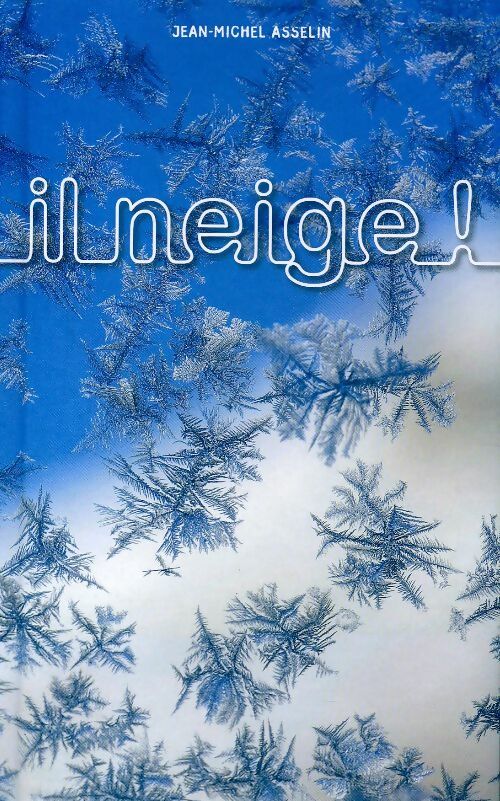 Il neige ! - Jean-Michel Asselin - Livre