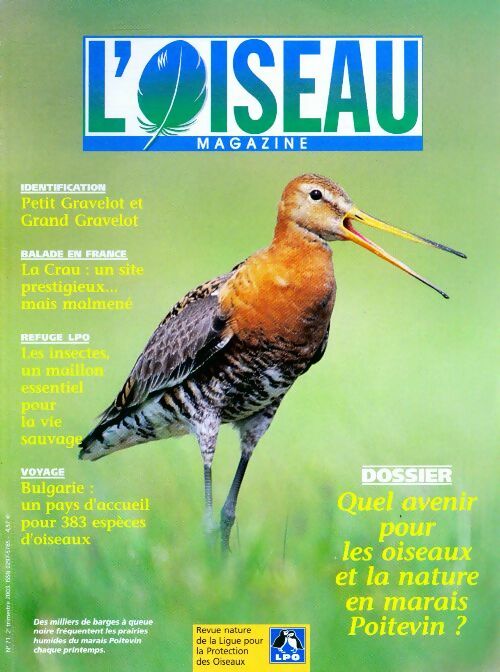 L'oiseau mag n°71 : Quel avenir pour les oiseaux et la nature en marais Poitevin ? - Collectif - Livre