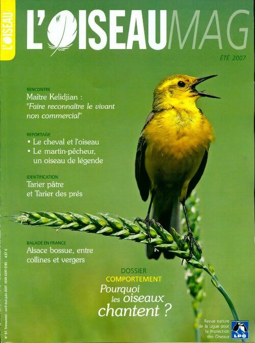 L'oiseau mag n°87 : Pourquoi les oiseaux chantent ? - Collectif - Livre