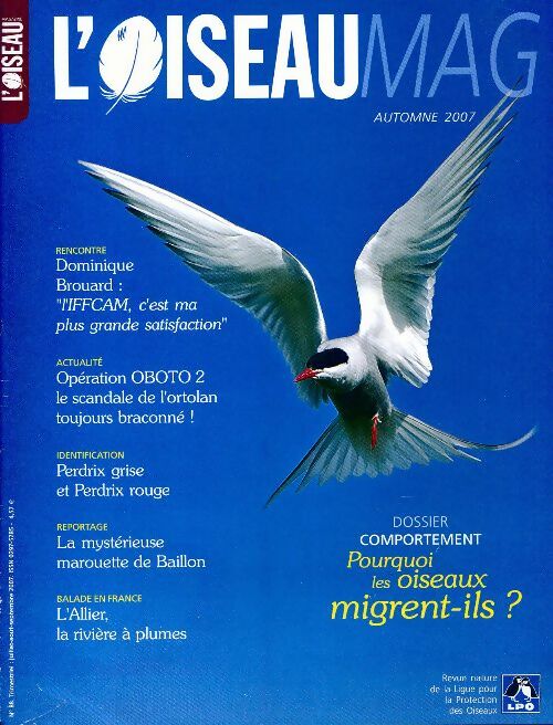 L'oiseau mag n°88 : Pourquoi les oiseaux migrent-ils ? - Collectif - Livre