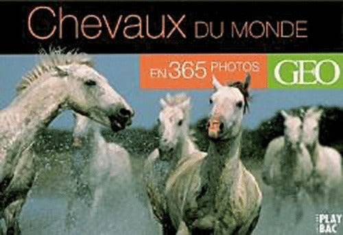 Calendrier Géo. Chevaux du monde - Collectif - Livre