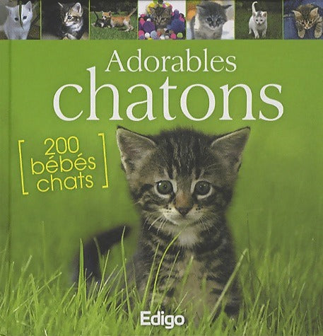 Adorables chatons - Collectif - Livre