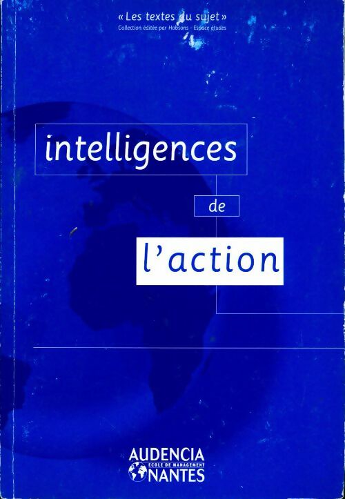 Intelligences de l'action - Didier Visbecq - Livre