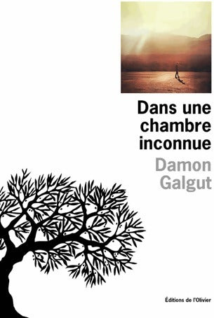 Dans une chambre inconnue - Damon Galgut - Livre