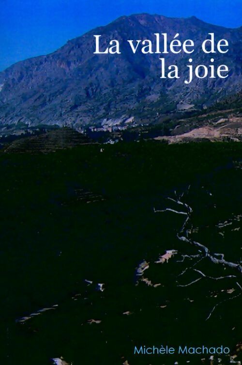 La vallée de la joie - Michele Machado - Livre