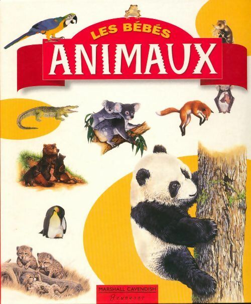 Les bébés animaux - Andrew Brown - Livre
