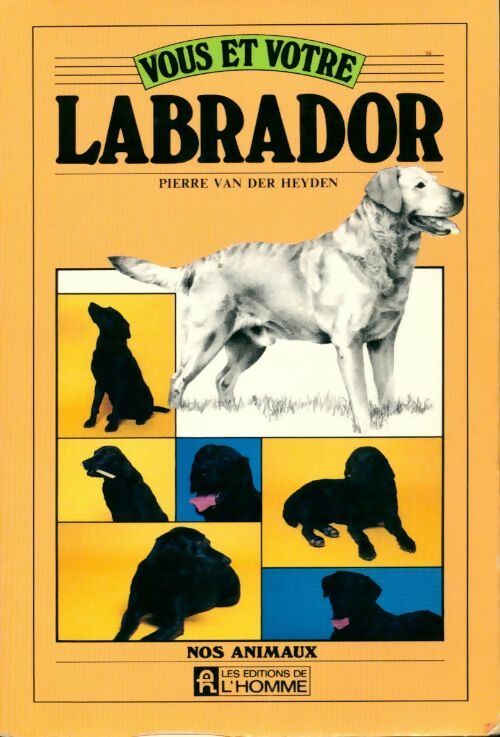 Vous et votre labrador - Pierre Van Der Heyden - Livre