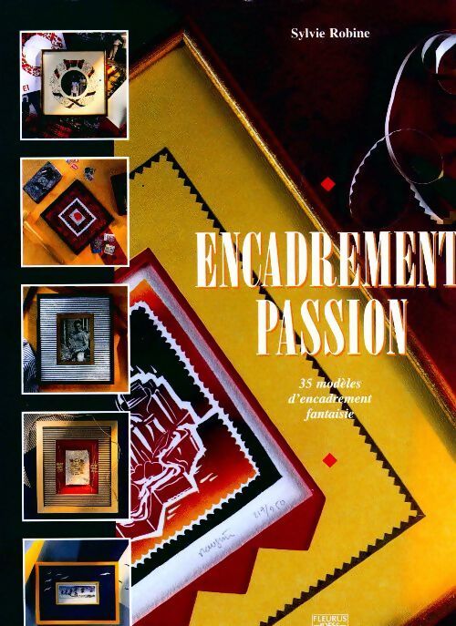 Encadrement passion. 35 modèles d'encadrements fantaisie - Sylvie Robine - Livre