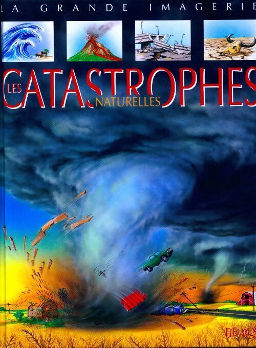 Les catastrophes naturelles - Cathy Franco - Livre