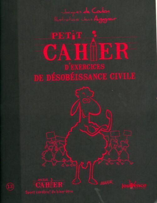 Petit cahier d'exercices de désobéissance civile - Jacques De Coulon - Livre