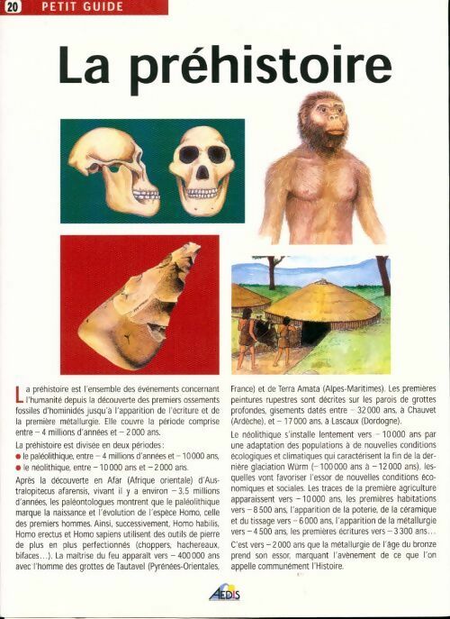 La Préhistoire - Collectif - Livre