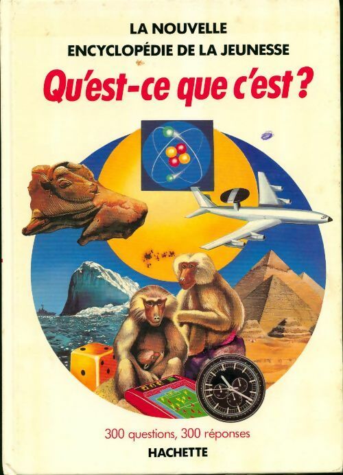 Qu'est-ce que c'est ? 300 questions, 300 réponses - Daniel Alibert-Kouraguine - Livre