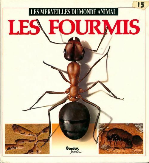 Les fourmis - Maria-Angels Julivert - Livre