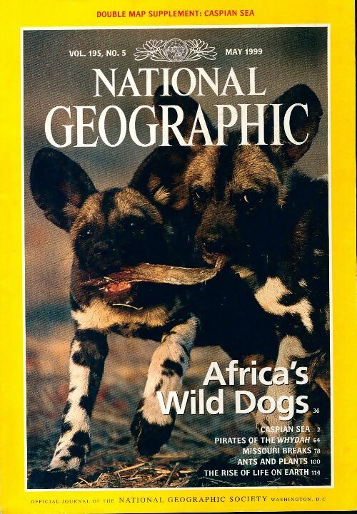 National Geographic US n°195-5 : Africa's wild dog - Collectif - Livre