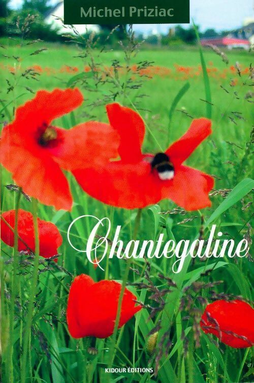 Chantegaline - Michel Priziac - Livre