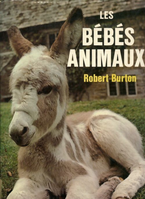 Les bébés animaux - Robert Burton - Livre
