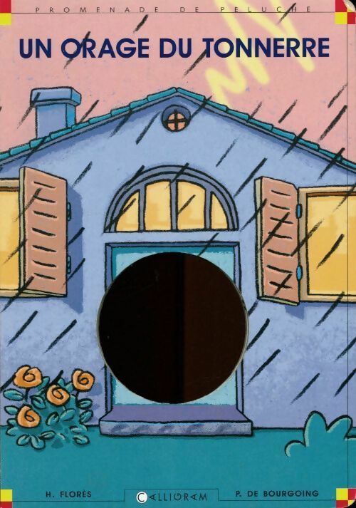 Un orage du tonnerre - Pascale De Bourgoing - Livre