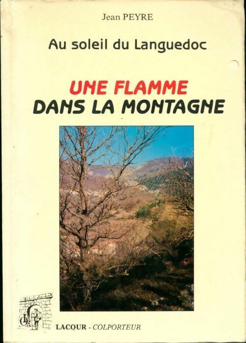 Une flamme dans la montagne - Jean Peyre - Livre