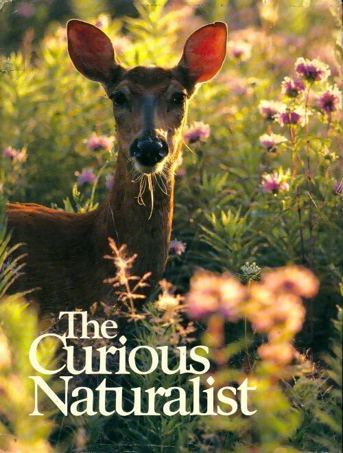 The curious naturalist - Collectif - Livre