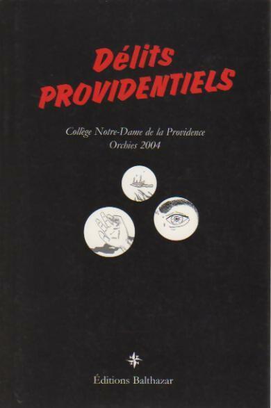 Délits providentiels. Concours de nouvelles policières - Fabienne Castelain - Livre