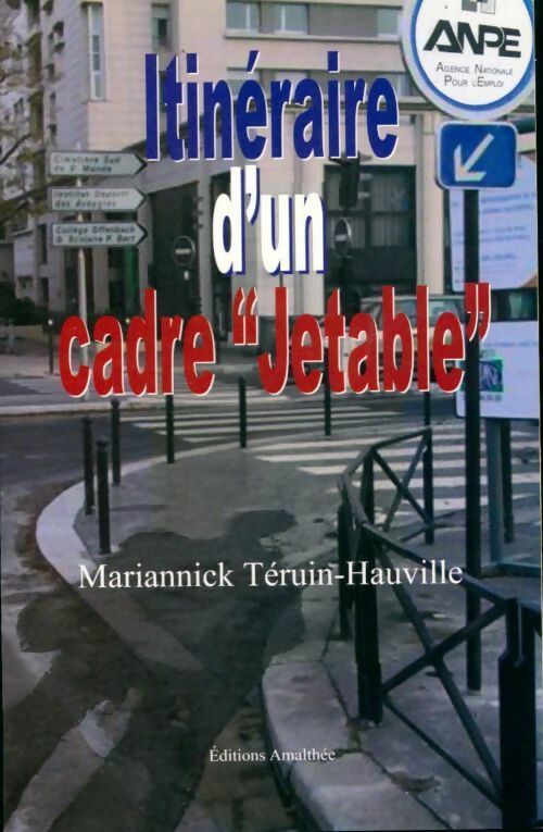 Itinéraire d'un cadre jetable. Le repos forcé du quinqua - Mariannick Téruin-Hauville - Livre