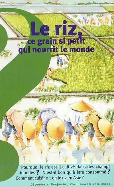 Le riz. Ce grain si petit qui nourrit le monde - Raphaëlle Brice - Livre