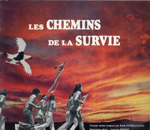 Les chemins de la survie - Edith Patrouilleau - Livre