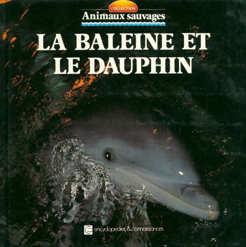 La baleine et le dauphin - Angeles Julivert - Livre