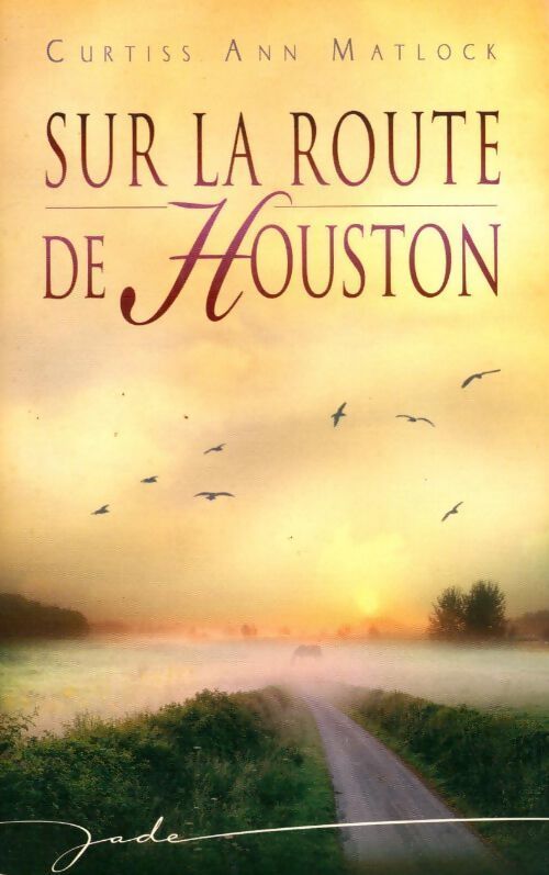 Sur la route de Houston - Curtiss Ann Matlock - Livre