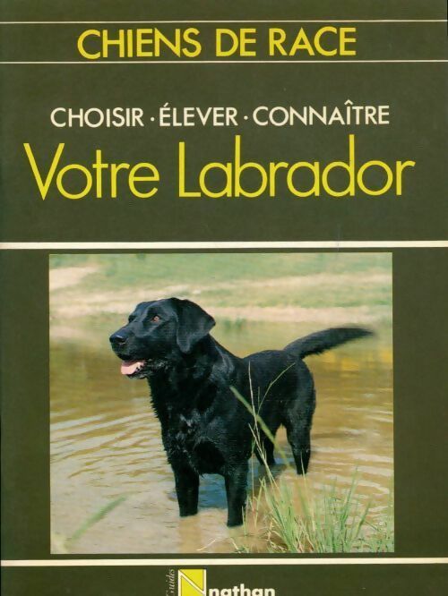 Votre labrador - Collectif - Livre