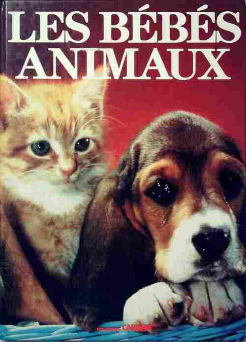 Les bébés animaux - Tessa Board - Livre