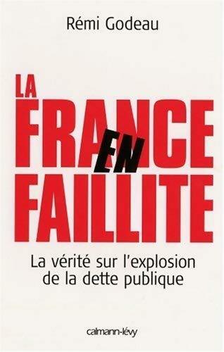 La France en faillite : La vérité sur l'explosion de la dette publique - Rémi Godeau - Livre