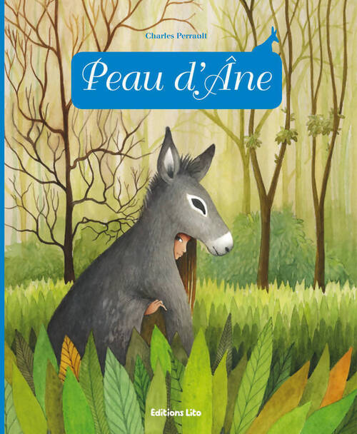 Peau d'âne - Anne Royer - Livre