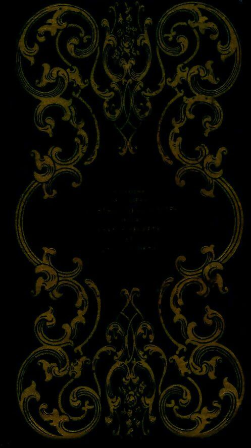 Nostradamus ou le devin caché - Michel-Claude Touchard - Livre