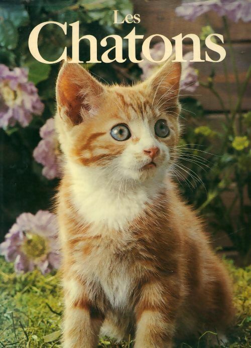 Les chatons - Angela Sayer - Livre
