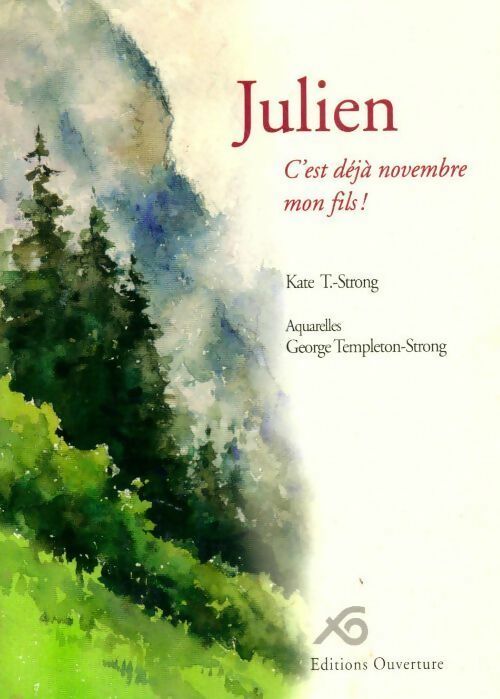 Julien.C'est déjà novembre mon fils ! - Kate T. -Strong - Livre