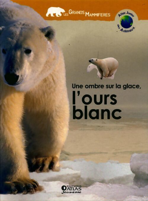 Une ombre sur la glace l'ours blanc - Collectif - Livre