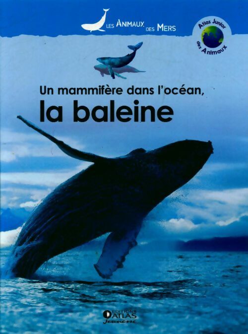 Un mammifère dans l'océan, la baleine - Collectif - Livre
