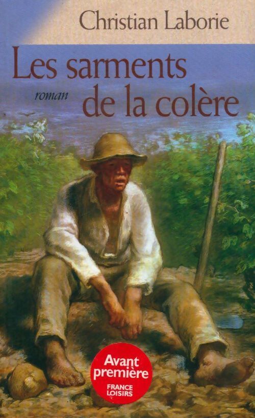 Les sarments de la colère - Christian Laborie - Livre