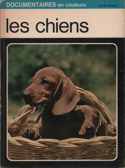 Les chiens - Adriano Torregrossa - Livre