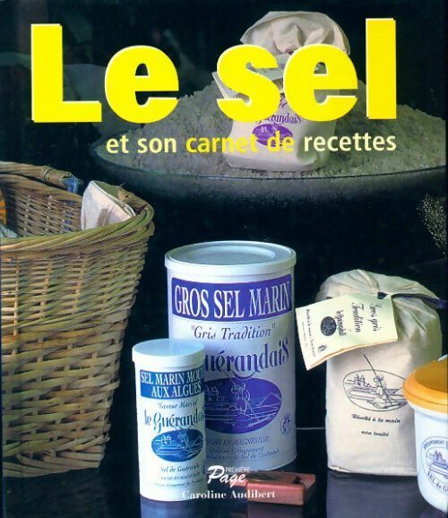 Le sel et son carnet de recette - Caroline Audibert - Livre