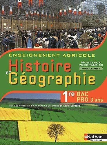 Histoire et géographie Première BAC Pro - Collectif - Livre