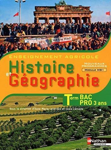 Histoire et géographie Terminale BAC Pro - Collectif - Livre