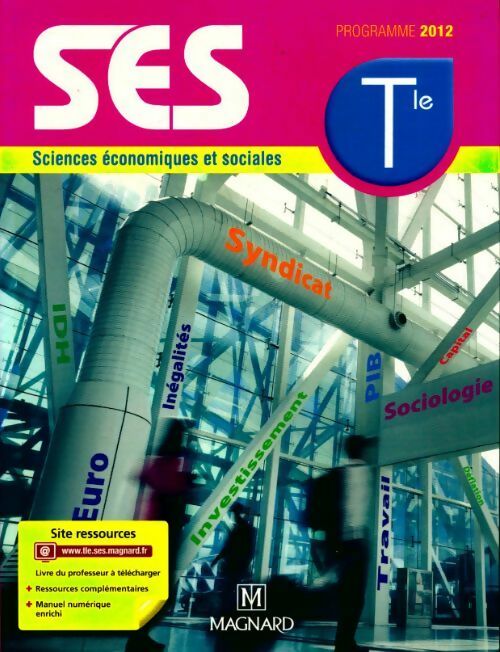 Sciences économiques et sociales Terminale ES - Collectif - Livre