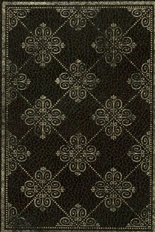 Mimi Bamboche ou la jeunesse d'Hortense Schneider - Denyse Vautrin - Livre