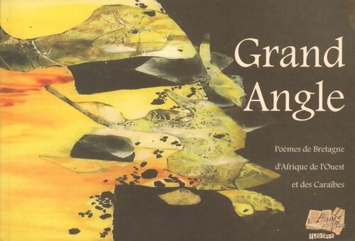 Grand angle - Collectif - Livre